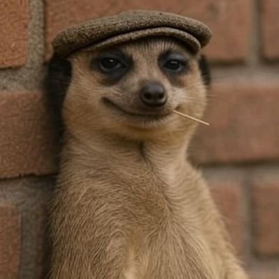 Seerpriest9's profile picture. faith is the something that cannot be proven