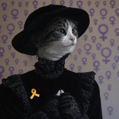 🎗️🧡🧡🧡KatzMann Aline 💜🤍💚👯♀️🐽🦇🇮🇱 Profile