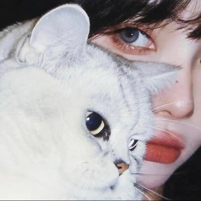 sy58973167's profile picture. brat那又怎样😗等到了我的daddy 想要一直一直幸福🥹