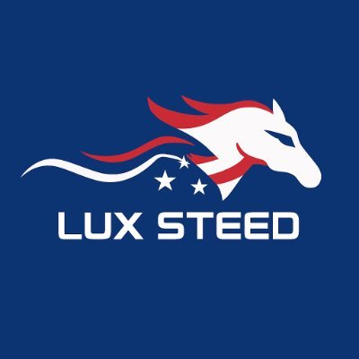 LuxSteed's profile picture. We help english riders reduce joint/back pain with in-depth courses, safety equipment, and 1 on 1 coaching to help you ride comfortably and safe.
