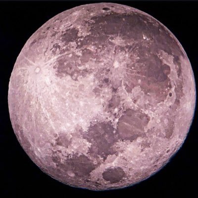 ItKyosuke's profile picture. Pro crypto. XRP and RSR lover 😍