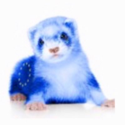 @Ferretgrove