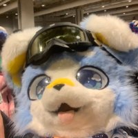AzurePaws (@azurepaws36) 's Twitter Profile