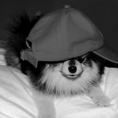 bluebthv's profile picture. “𝗜𝗳 𝘄𝗲 𝗹𝗶𝘃𝗲 𝗳𝗮𝘀𝘁, 𝗹𝗲𝘁 𝘂𝘀 𝗱𝗶𝗲 𝘆𝗼𝘂𝗻𝗴”