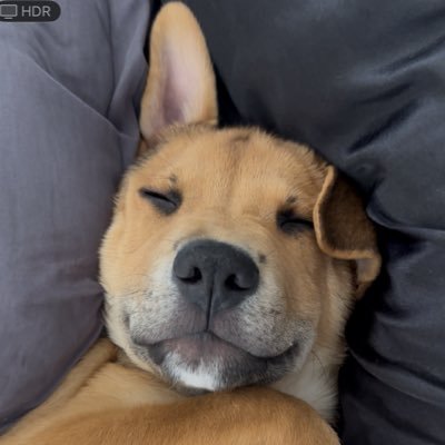 a89141's profile picture. Father forgive me for my shitposting.