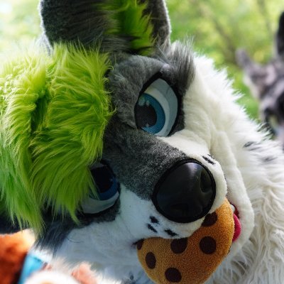 He/Him • demi/bi • lutheran ✝ • class-lib • northwestern wolf • fursuit by @SilvenaHandmade • Bioengineering of animals student • 24
