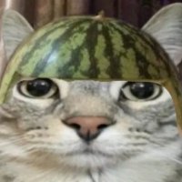 Gubi Fortnite (@gubivalorant) 's Twitter Profile