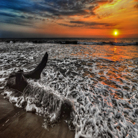 1LfE3AU2x38436's profile picture. 保守的投資家の、穏やかな性格の性格で、株式投資、仮想通貨マイニングなどに興味を持っています。現在は海外展開を目指して準備中です。