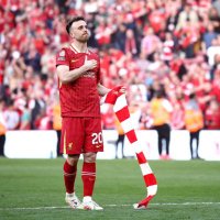 David Harrison (@bosshugo) 's Twitter Profile Photo