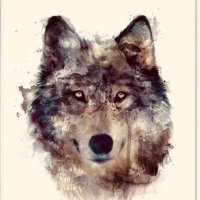 metin erçinoğlu (@ercinmet) 's Twitter Profile