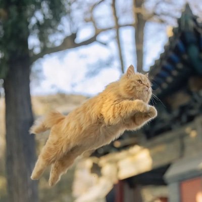 Dong15373086330's profile picture.