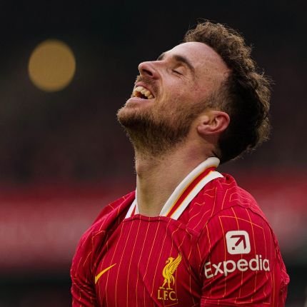 calmlikevirgil's profile picture. •My man @VirgilvDijk
•All about @lfc 
#FreePalestine🇵🇸🍉