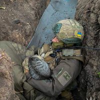sydorov Mykola (Микола) (@sydorov_mykola_) 's Twitter Profile