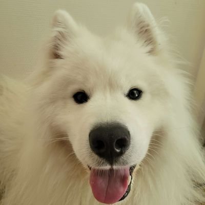 En ce moment je stream tout les jours ! Clique voir : https://t.co/EuQFgoE7Fe