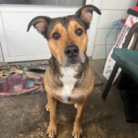 Phillies fan forever (@david2656055581) 's Twitter Profile