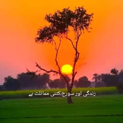 jan_kalim's profile picture. Education is the most powerful weapon which you can use to change the world