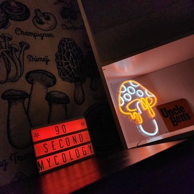 Y’all click on my link on my bio to join my luffa chat /telegram/Ellochannel for more psychedelic discoveries
Luffa chat: https://t.co/8ULXhh2gP3