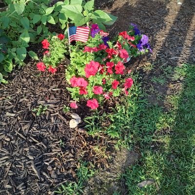 Carol L Howell Profile
