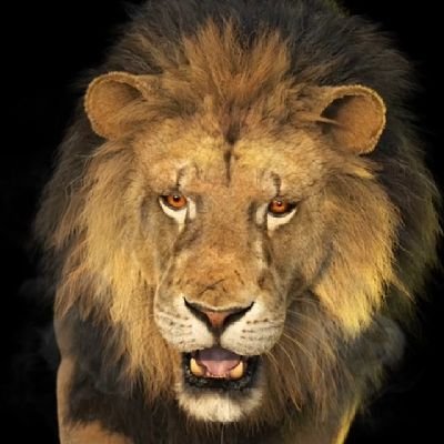 DharaM40907's profile picture. 