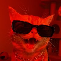 SIMBA 😼🖤 (@vooldeadvool) 's Twitter Profile