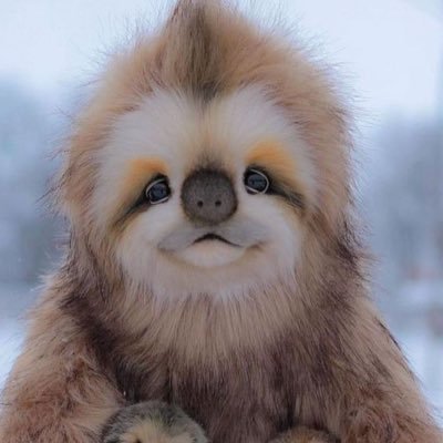 mary_land77's profile picture. De nihilo nihilum