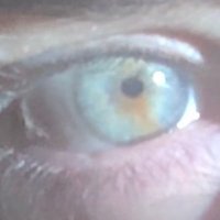 Jury Nullification (@eveisapisces) 's Twitter Profile