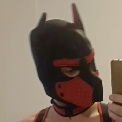 PupRusty95's profile picture. Just another 30 year old bottom with an exhibitionist streak
