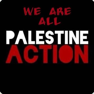 Actor/Director Irelands32 Palestine BDS OccupiedTerritoriesBill
Damandac77@bluesky.social