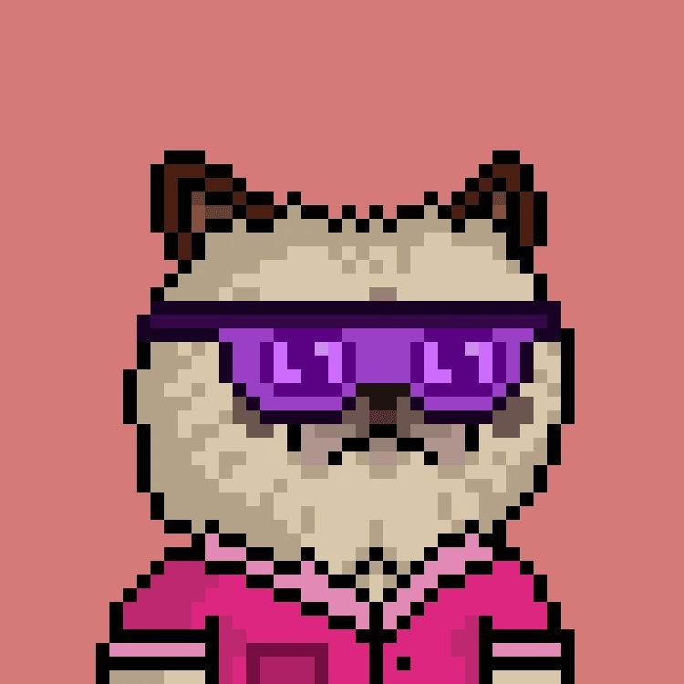 1_lon_'s profile picture. Cultural Explorer| Published a guide on sustainable fashion and ethical consumption| Pet parent| 
Crew commander