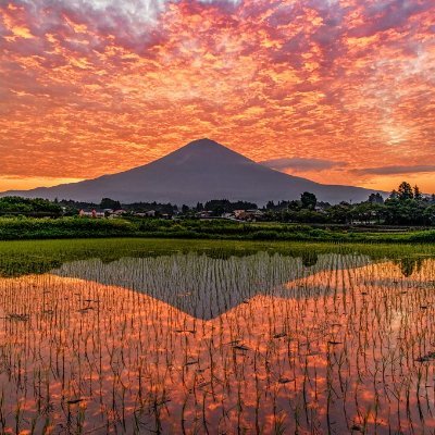 「人生は短いが、山は永遠だ」「山は私にとって現実からの逃避先だ」「山にいる時間はいつも楽しい」「山と空が出会う場所を見つけてください
