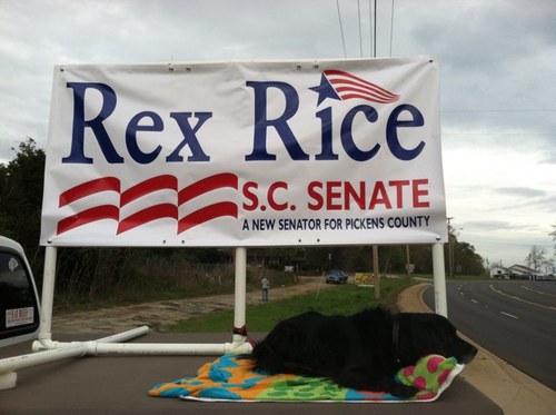 Rex Rice