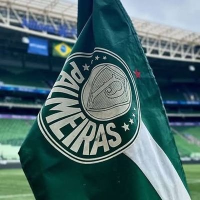 Backupdsg's profile picture. #Palmeiras