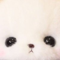 ALE ⸜(˃ ᵕ ˂ )⸝♡ (@kmstonighttt) 's Twitter Profile