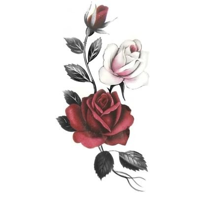 kr45_saphira's profile picture. 