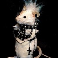rato ou morcego (?) (@ratodecepado) 's Twitter Profile
