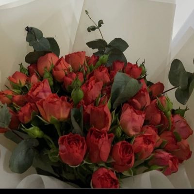 Aln908's profile picture. اللهُم الجنّة ان ذهبت الروُح اليك 🤎.