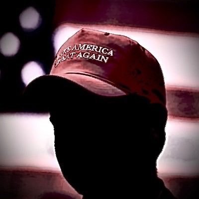 ✝️ MAGA Southerner 🇺🇸 Profile