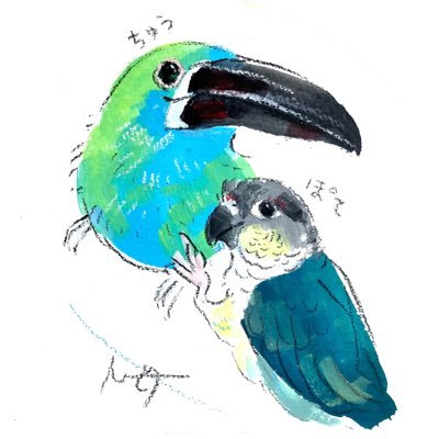 某大阪の鳥カフェ店員 ウロコインコのぽて コシアカミドリチュウハシのちゅうちゃん タイハクオウムのハク たまに絵も描きます