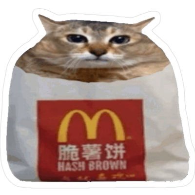 is_it_hashbrown's profile picture. just a gimmick account. i don’t claim to be doing activism