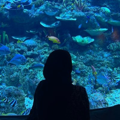 dienong_'s profile picture. 