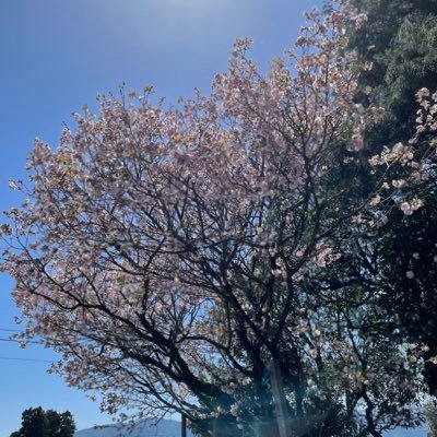 aWqjd0D8zr739's profile picture. 20代でエンジニア未経験から転職を目指して学習！ / 学習開始 : 2025年8月