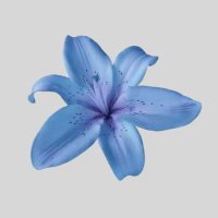 cema is M★D (@hottogooo) 's Twitter Profile