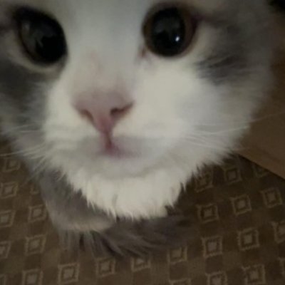 itsmeescape's profile picture. 