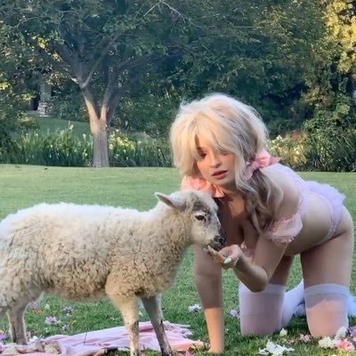 usergirlamb's profile picture. flower spit / cherry on top