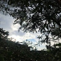 sn poonia (@snpoonia08) 's Twitter Profile