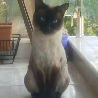 AKGUNAY07's profile picture. 