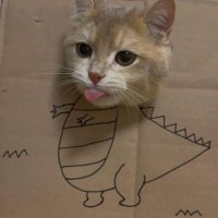 jek (@majeksarap) 's Twitter Profile