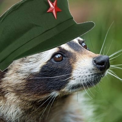 Canadian Marxist, MƩtis descendant.
Believer in socialism, the permanent end of colonialism, and the pursuit of happiness š®š·šøš©šØš©š®šŖšµšøš³šØš°šŖ