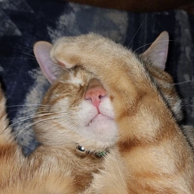 GreerDRay's profile picture. 