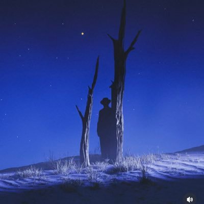 ReeseTrace's profile picture. Rational